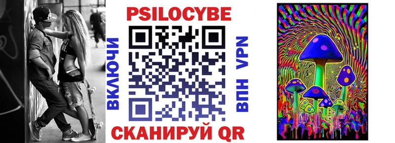 дарк нет состав  гидра ТОР  Инта  Псилоцибиновые грибы Psilocybe 